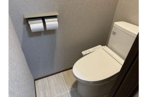 toilet